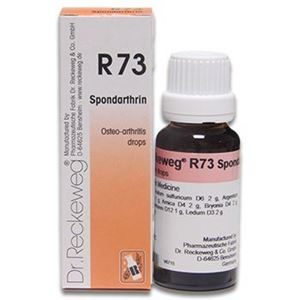 R 73 in Pakistan